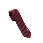USC Trojans Traveler Stripe Skinny Tie